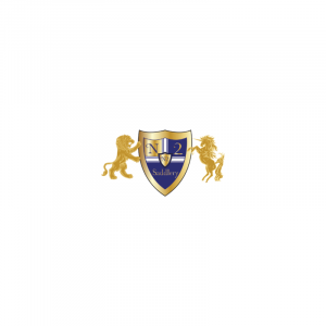 Logo of N2 Saddlery, sponsor of Adrienne Lyle USA from the Olympic Dressage Team. Adrienne Lyle is a key competitor in the Olympic Dressage Team and is a celebrated Olympic Dressage Winner.